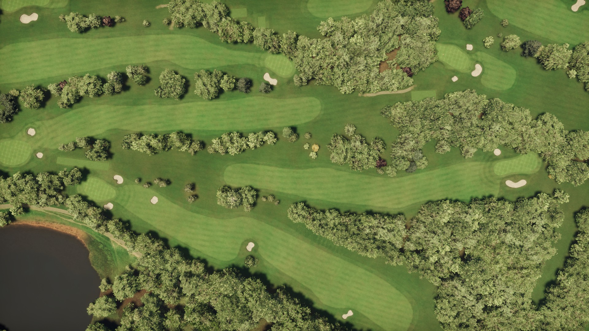 Hole 8